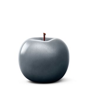 Apple anthracite metallic