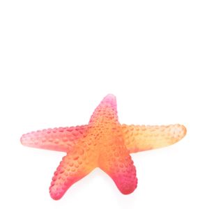 Amber red starfish 11 cm