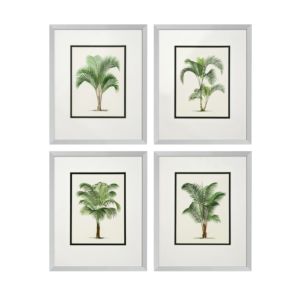 Prints Palms set of 4