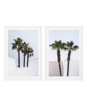 Prints Palm Trees set of 2