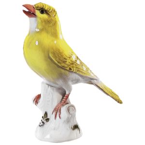 Canary 11 cm