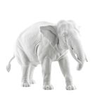 Elephant trunk 36 cm